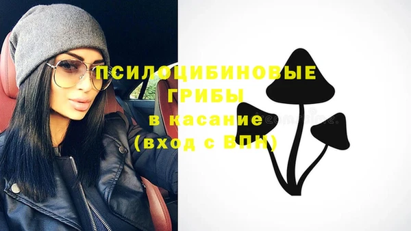 твердый Переславль-Залесский