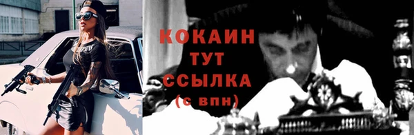 скорость Пересвет