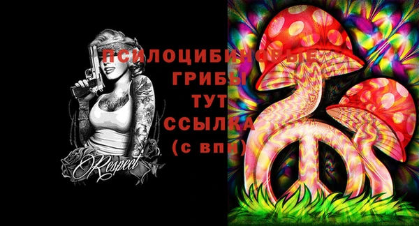 скорость Пересвет