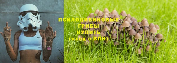 твердый Переславль-Залесский