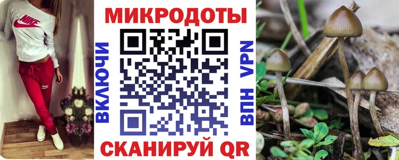 Купить  Сердобск  Галлюциногенные грибы GOLDEN TEACHER 